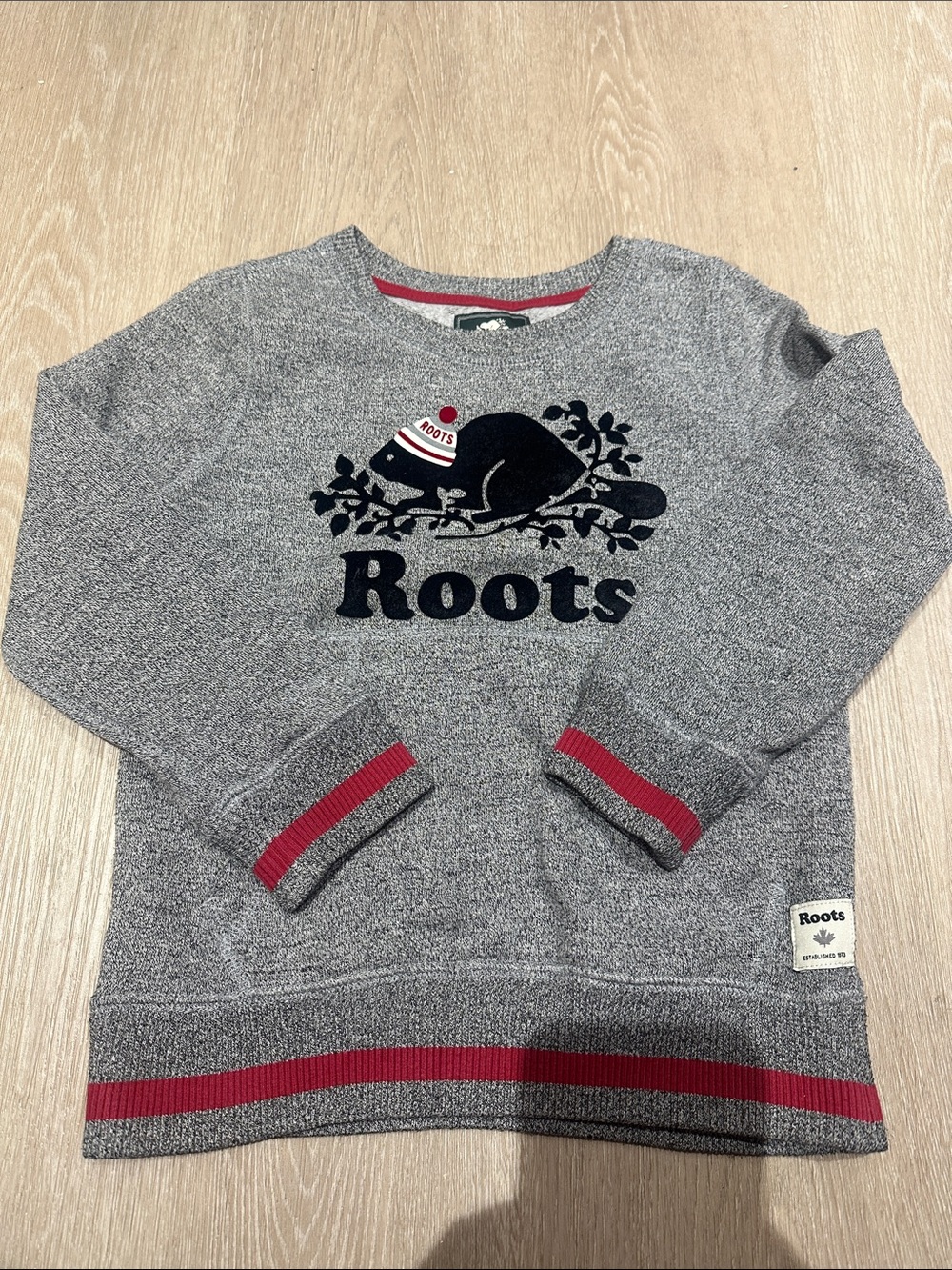 Roots Kids Gray Sweatshirt with Navy Beaver and Red Trim